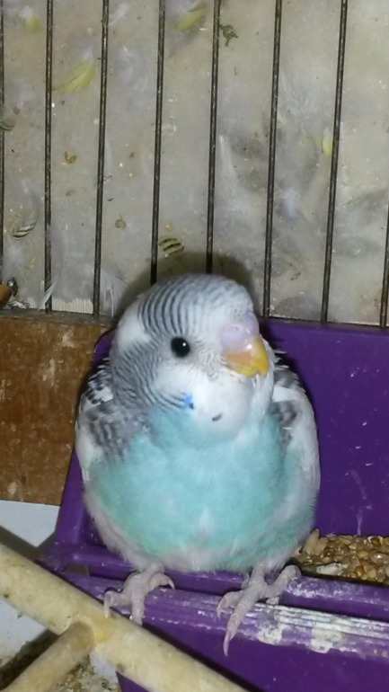 Детишки, уже большие