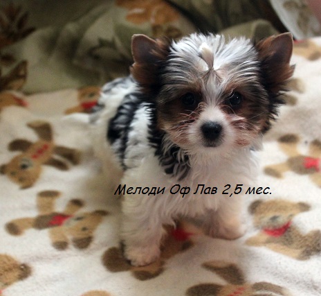 Привет. Давайте знакомиться! :)