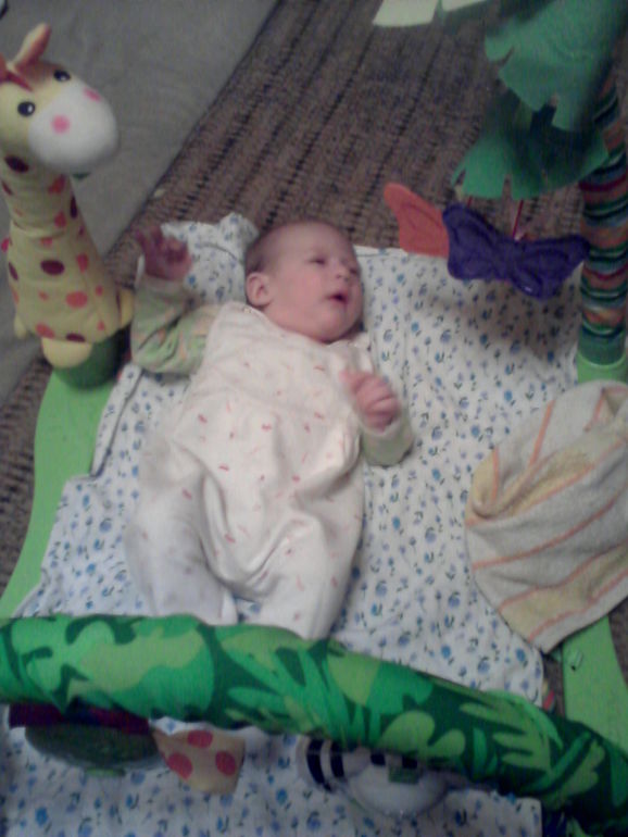 Родились по приказу)