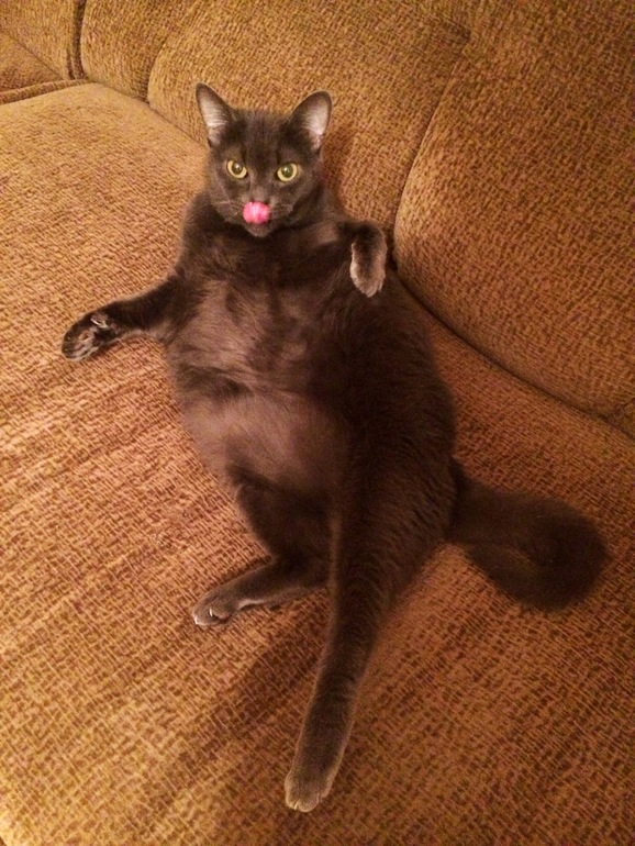 7ДПП. Ждемс.