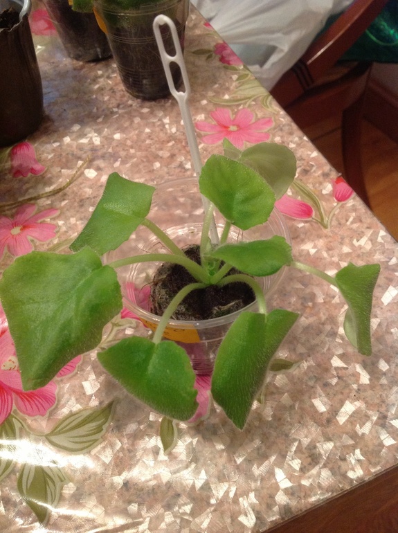 Наверное замерзла???