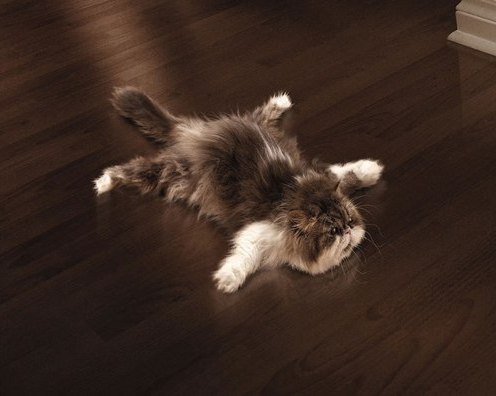 что лучше???????