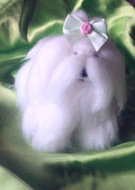 Щенок в подарок.