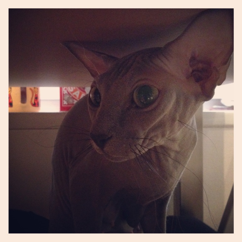 Бедная моя Лю((((