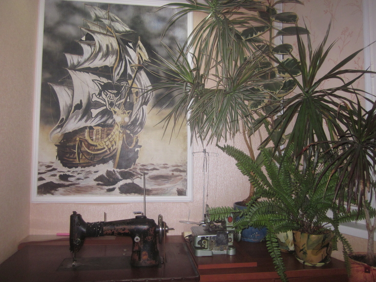 Взлёт369. День 13)