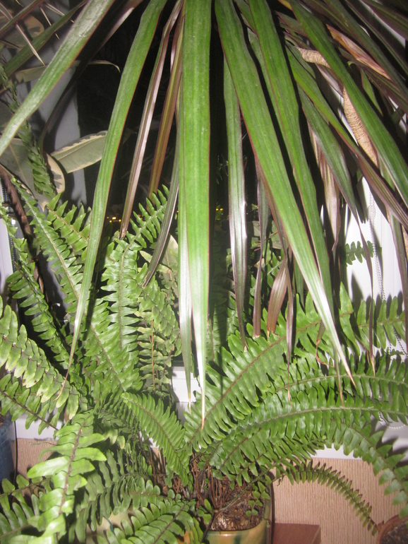 Взлёт№69.День 15