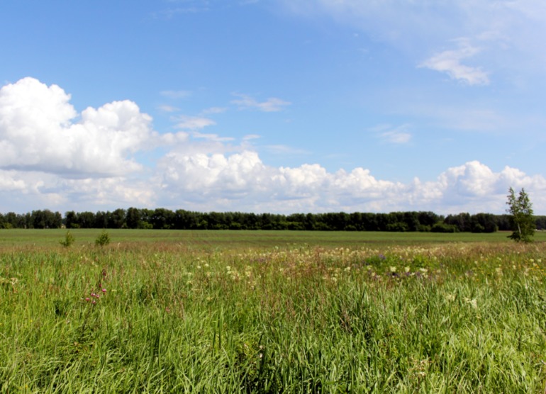 Контрольное задание № 7. Корректируем фотографию при помощи кривых