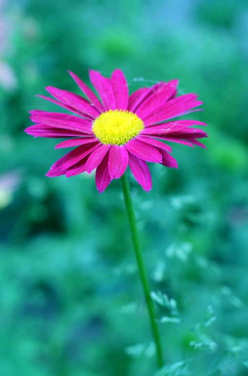 Контрольное задание № 6. Три способа цветокоррекций фотографий