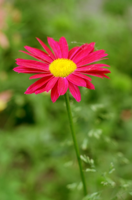 Контрольное задание № 6. Три способа цветокоррекций фотографий