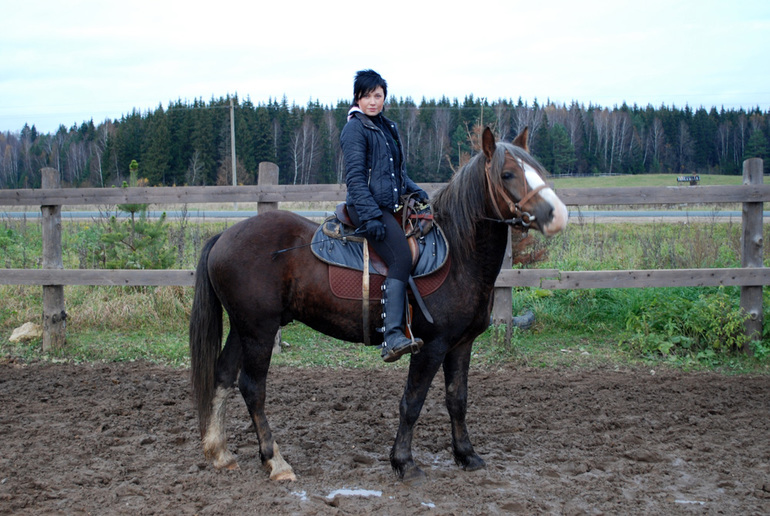 В год коня - все на коня :)