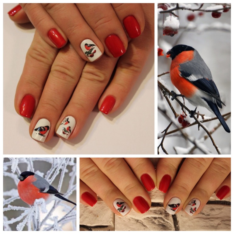 Запись на шеллак к Новому году! Ст.м.домодедовская/Орехово.