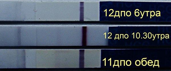 Почему тест утром был пустым?