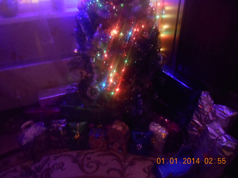 Наш Новый Год!