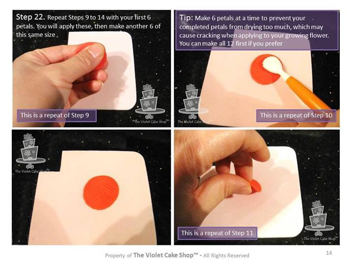 Ранункулюс, по-нашему лютик (Интернет)