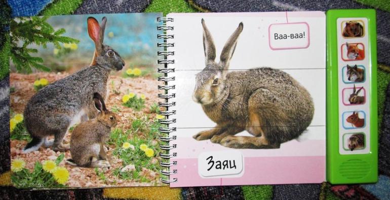 Наша ферма и Наш лес