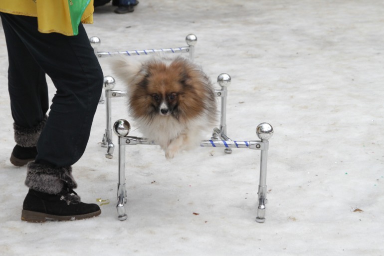 Праздник в парке