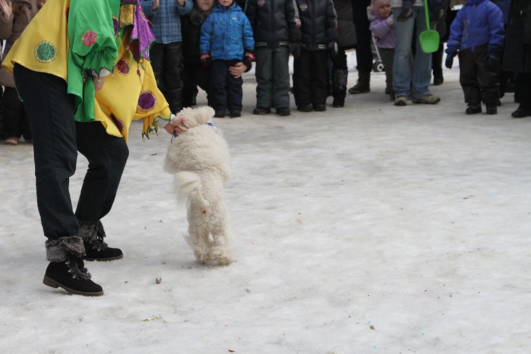 Праздник в парке