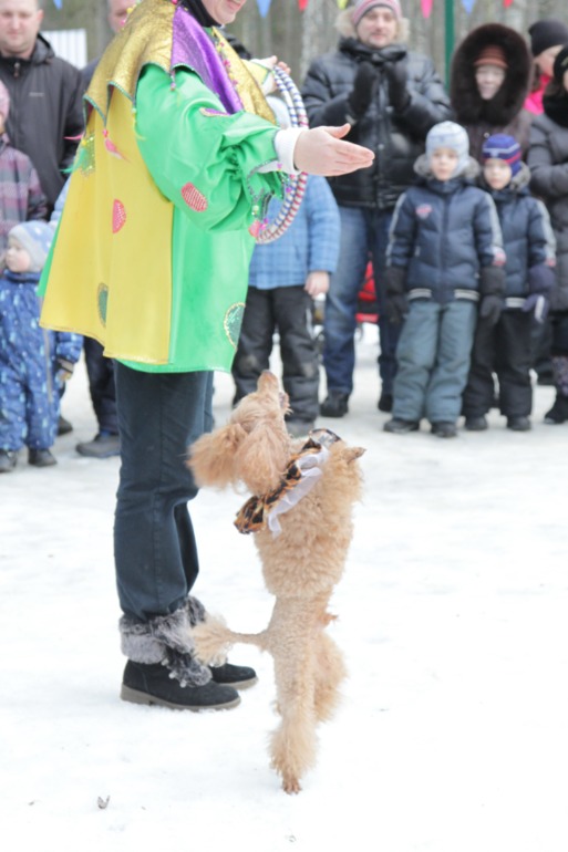 Праздник в парке