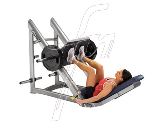 Мои попные упражнения