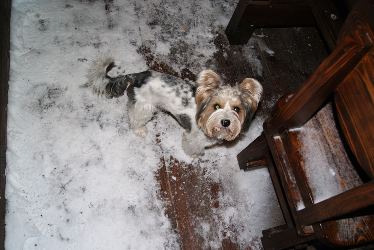 Я разобралась...