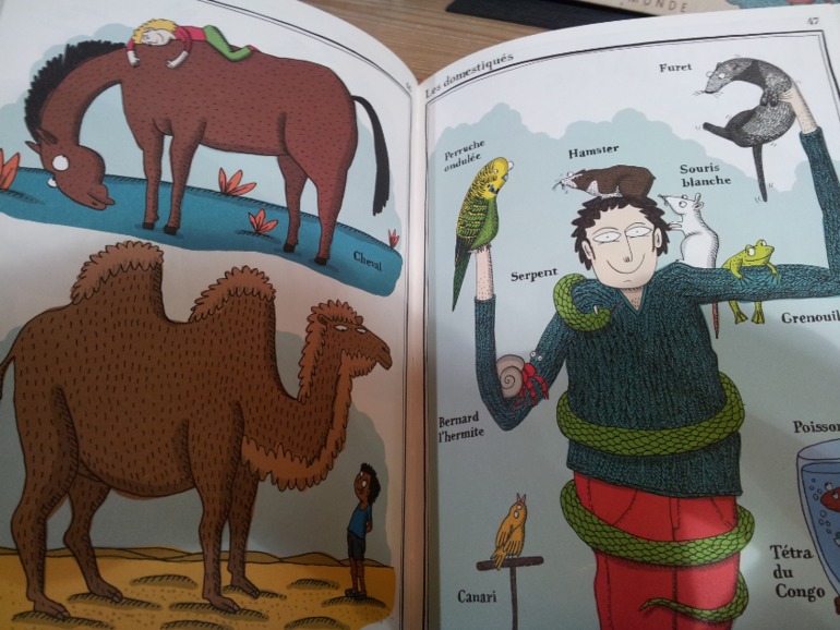 Книжные магазины в Париже.