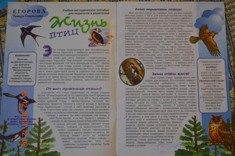 ТН Птицы 4,5 день