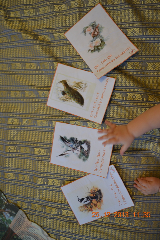 ТН Птицы 4,5 день