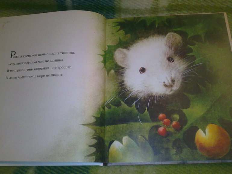 Зимние книги и другие новинки декабря