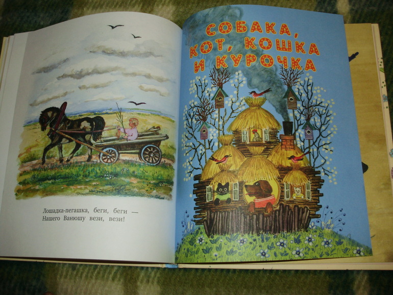 Зимние книги и другие новинки декабря