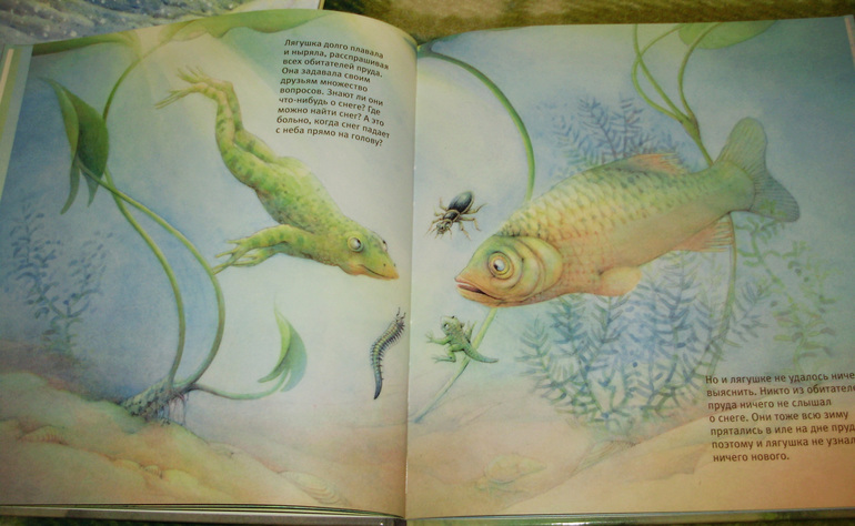 Зимние книги и другие новинки декабря