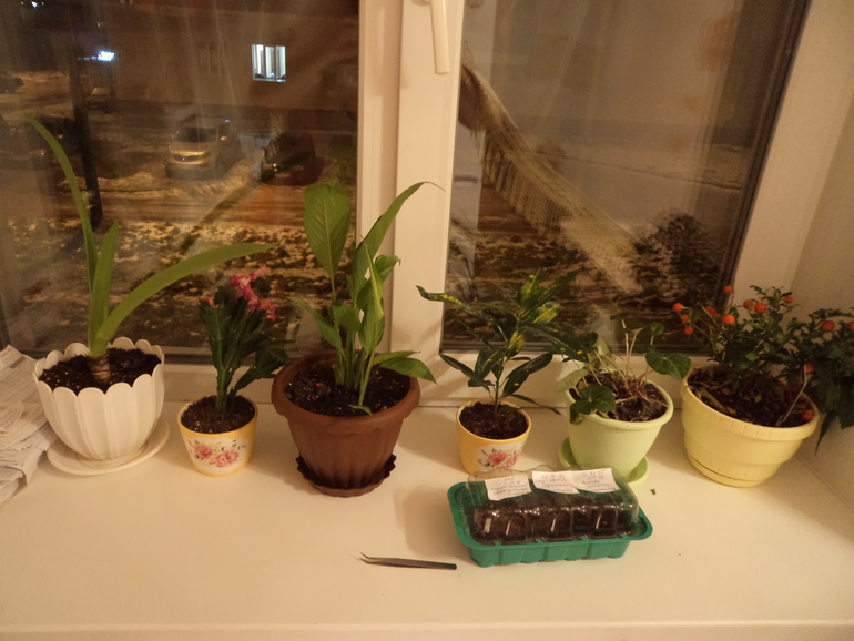 Просто покажу...