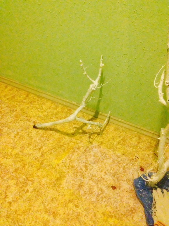 Незаконченное черте что) и вопросы)