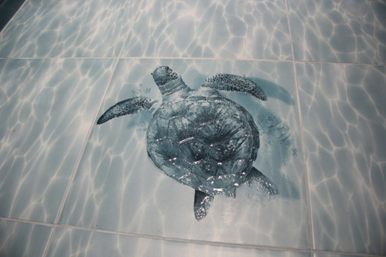 Дайвинг каждый день, наш су........