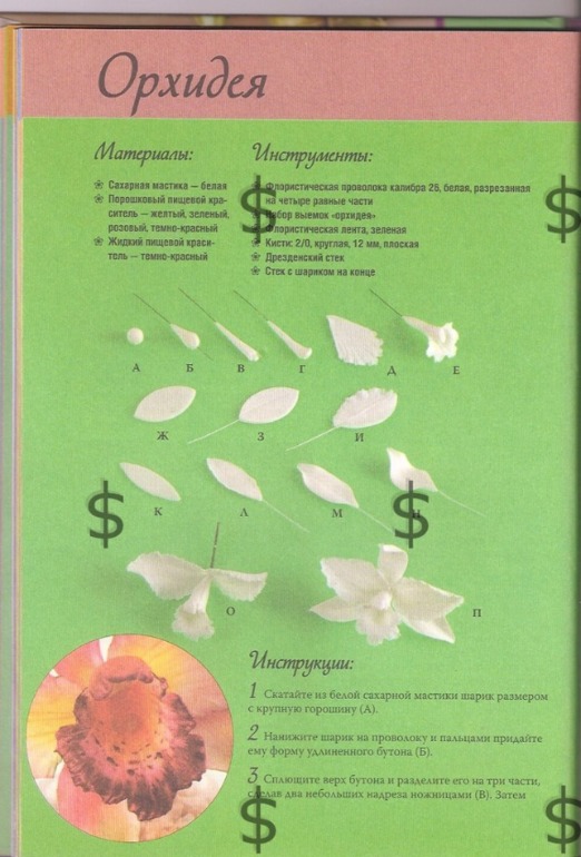 Книжечка с мк по цветам