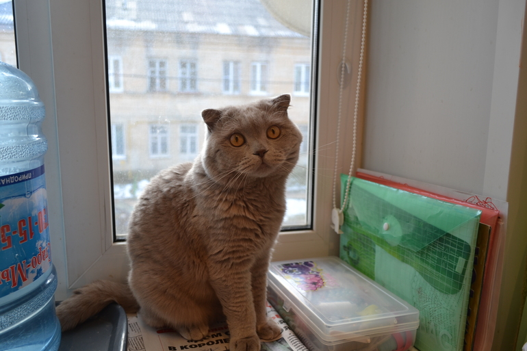 болеро и прочее....