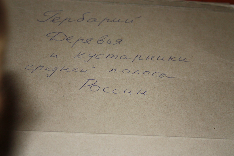 Великолепный подарок