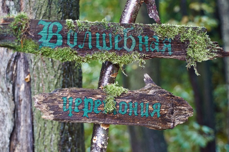 Волшебная лесная свадьба по мотивам мультфильма "Ходячий замок Хаула".