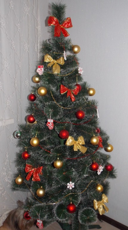 И мы украсили наш дом!!!