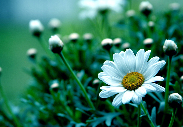 Контрольное задание № 6. "Три способа цветокоррекций фотографий "