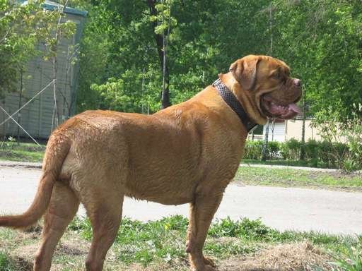 Моя Лялечка, детка первая, беги по радуге, я тебя всегда буду помнить...