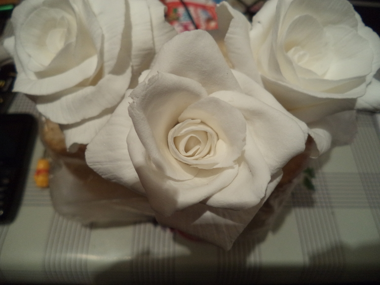 Мои розочки!Я только учусь!