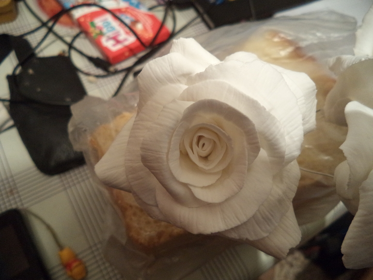 Мои розочки!Я только учусь!