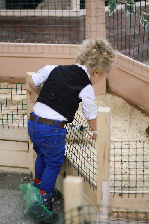 Контактный зоопарк м.Теплый стан