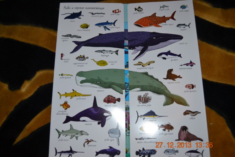 Еще несколько книг в подарок для нашего разбойника