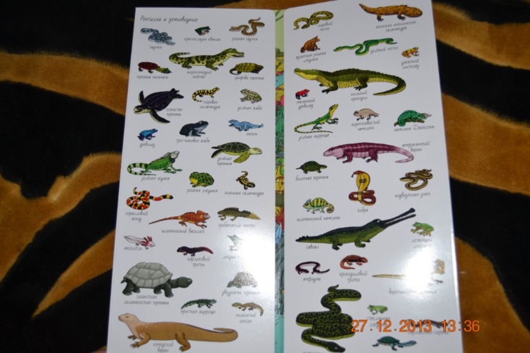 Еще несколько книг в подарок для нашего разбойника