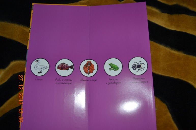 Еще несколько книг в подарок для нашего разбойника