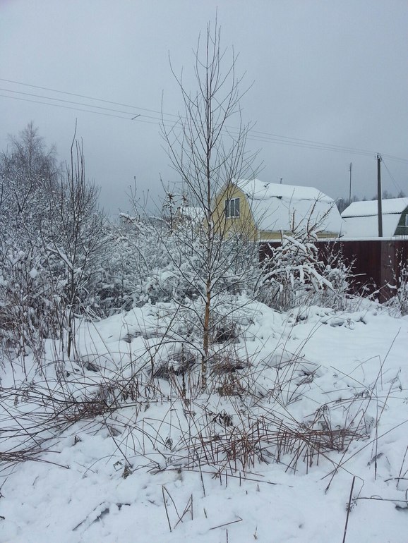 Заехала бригада.