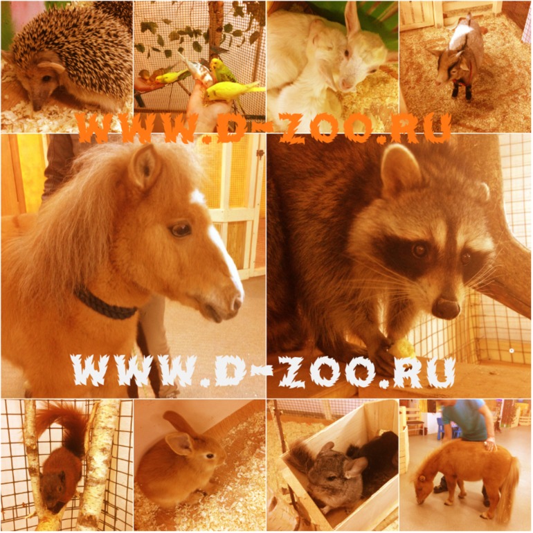 Мини зоопарк Зверюшки как игрушки