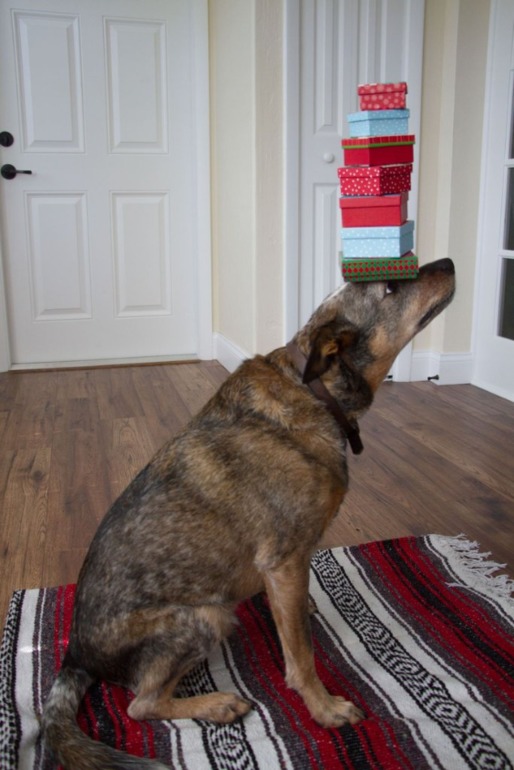 Новогодний пес)))