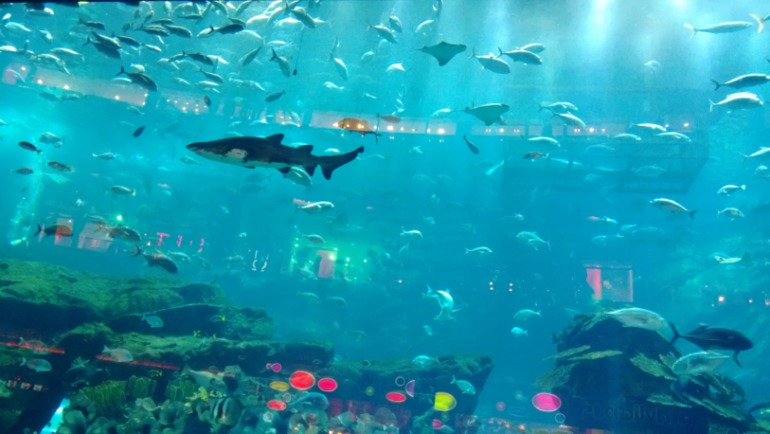 Спасибо Моей снегурочку Юле!!!!